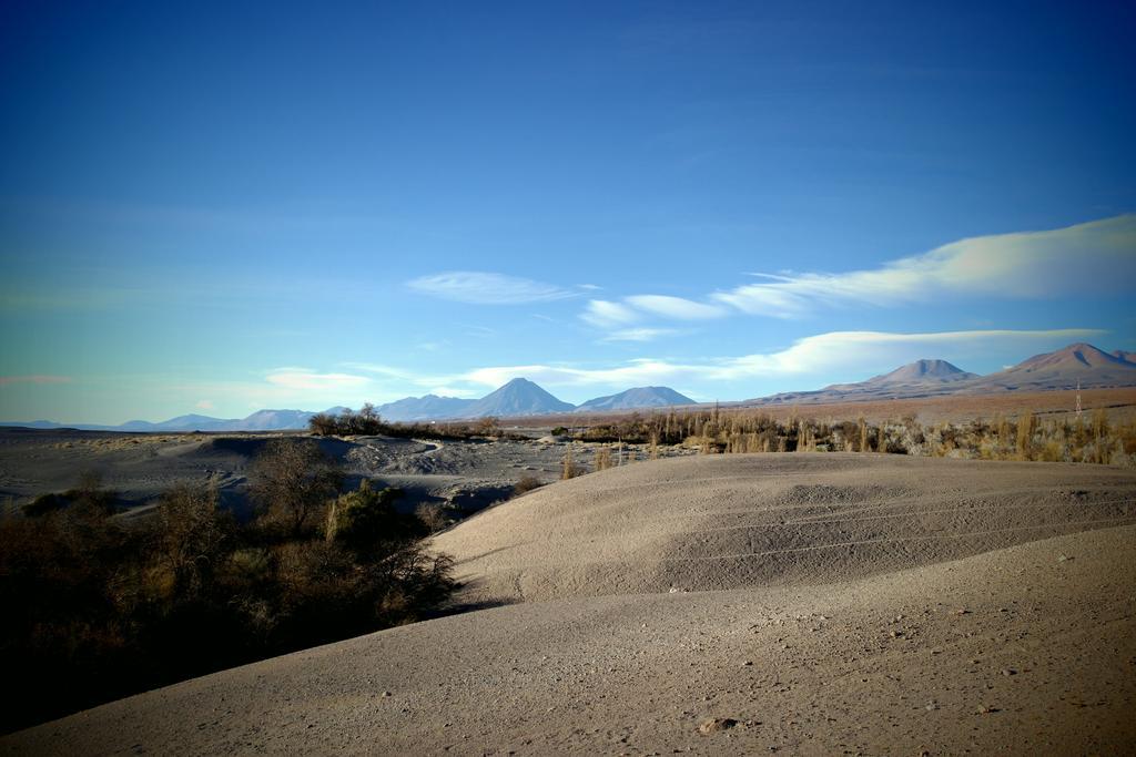 Vila Complejo Turistico El Toconar Toconao Exteriér fotografie