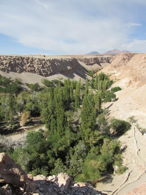 Vila Complejo Turistico El Toconar Toconao Exteriér fotografie