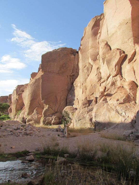 Vila Complejo Turistico El Toconar Toconao Exteriér fotografie